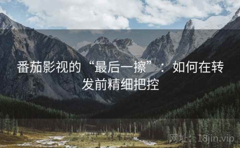 番茄影视的“最后一擦”：如何在转发前精细把控