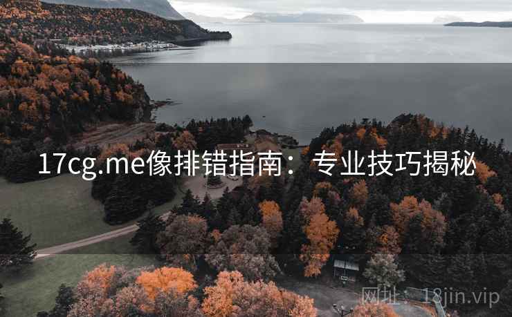 17cg.me像排错指南：专业技巧揭秘